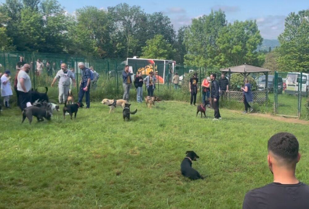 Récréachiens – Parc de jeux et de sociabilité canine